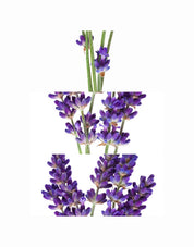 LAVENDEL SET