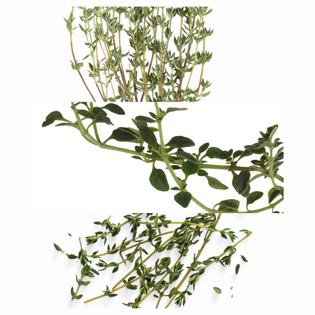 THYME_7959ecba-c884-4f3f-8359-62a3609b59ef.jpg